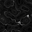 smithyscales.store favicon